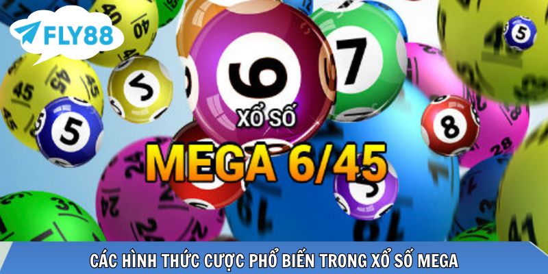 Đa dạng lựa chọn cược phù hợp nhiều chiến lược