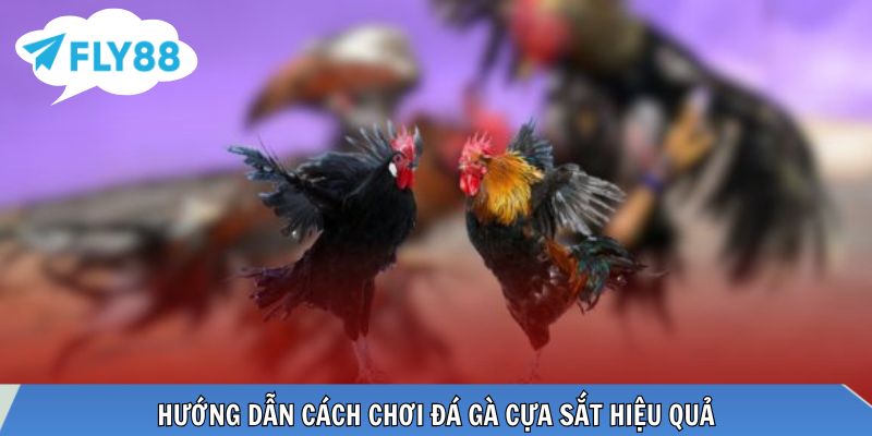 Đá Gà Cựa Sắt – Hình Thức Cá Cược Tốc Độ Cao Được Ưa Chuộng Nắm vững cách chơi để nâng cao tỷ lệ chiến thắng