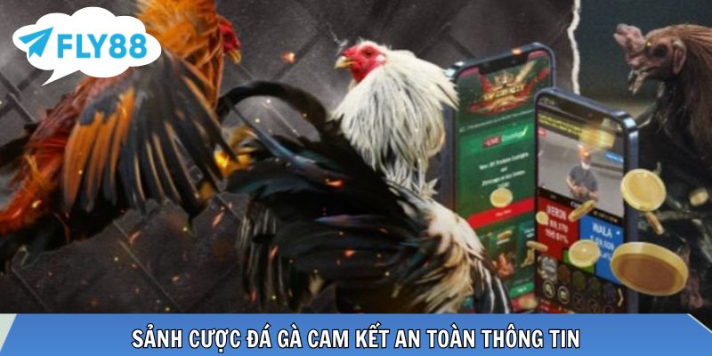 Đá Gà SV38 - Thưởng Thức Các Trận Đấu Kịch Tính Tại FLY88 Sảnh cược đá gà cam kết an toàn thông tin