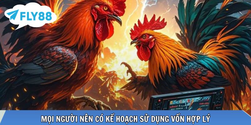 Đá Gà SV38 - Thưởng Thức Các Trận Đấu Kịch Tính Tại FLY88 Mọi người nên có kế hoạch sử dụng vốn hợp lý