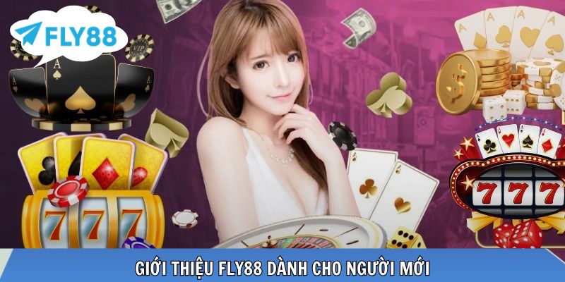 Nền tảng cá cược thân thiện, dễ tiếp cận cho tân thủ